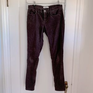 Size 25x34 super soft Madewell courdory pants. Not very thick material.